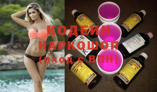 гашик Алексеевка