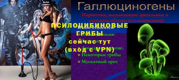 дурь Алзамай