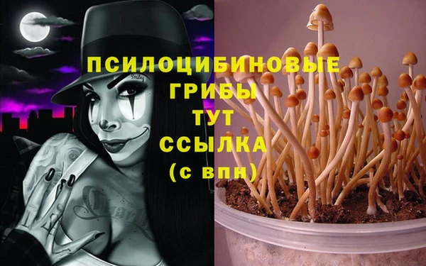дурь Алзамай