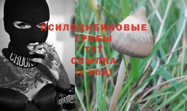 гашик Алексеевка