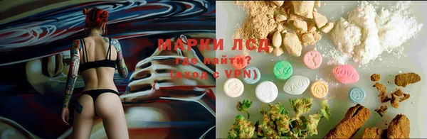 гашик Алексеевка